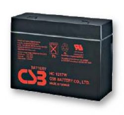 RBC21